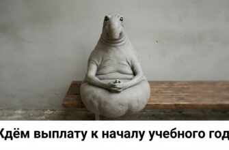 Социальный фонд и 15 регионов договорились о выплатах школьникам